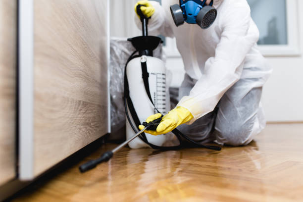 Best Mosquito Control Services  in Charlotte Harbor, FL