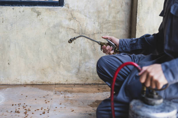 Best Affordable Pest Control Services  in Charlotte Harbor, FL